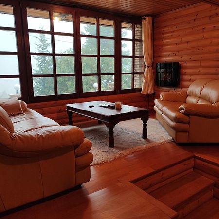 "Nest" The Wooden Suite By Ski Alure Eptálofos Eksteriør billede